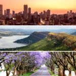 Semigration & the Bedroom: How South Africans Moving to the Western Cape Are Furnishing Their New Homes